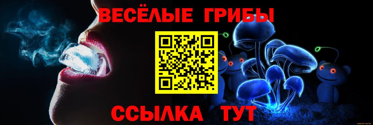 Галлюциногенные грибы мицелий  Кузнецк  Галлюциногенные грибы Psilocybine cubensis 